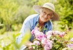 Seniors et jardinage