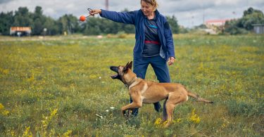 Dresseur Canin